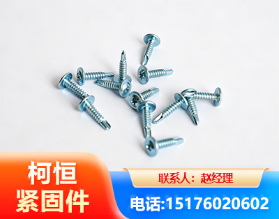 保定华司钻尾丝