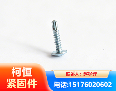 保定华司钻尾丝